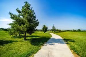 concrete pathway pour